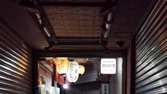 Potopis po Japonski: 10-dnevni skok v Tokio, Kjoto, Osako in Naro (FOTO)