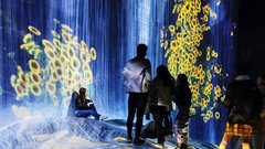 Digitalni muzej teamLab Borderless, Tokio