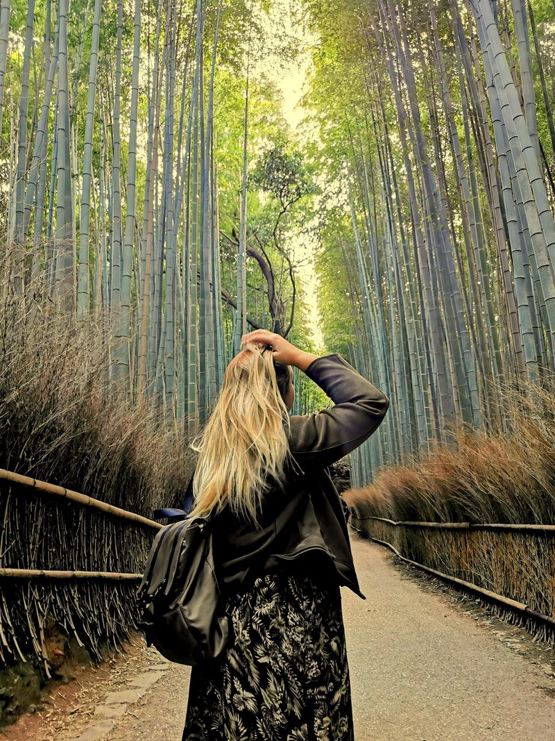 Arashiyama Bamboo Grove – bambusov gozd, Kjoto