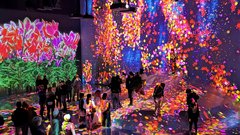 Digitalni muzej teamLab Borderless, Tokio