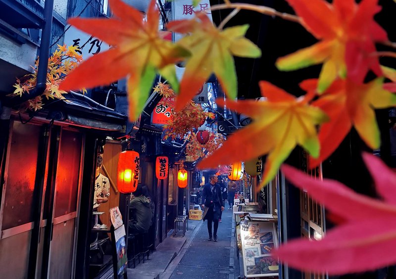 Piss Alley ali Memory Lane ali Omoide Yokocho