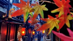 Piss Alley ali Memory Lane ali Omoide Yokocho