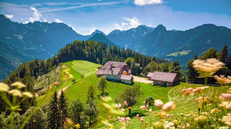 2,5 milijona evrov za prilagoditev slovenskih kmetij na podnebne spremembe