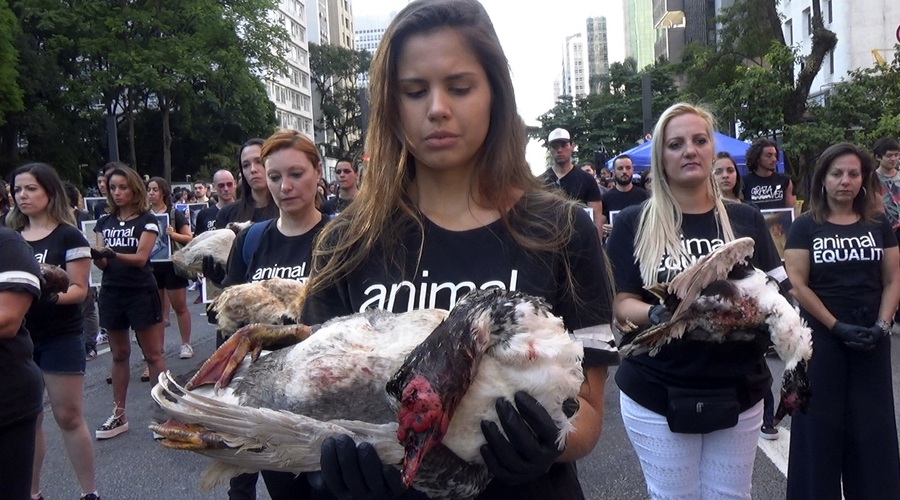Slika je simbolična. (foto: profimedia)