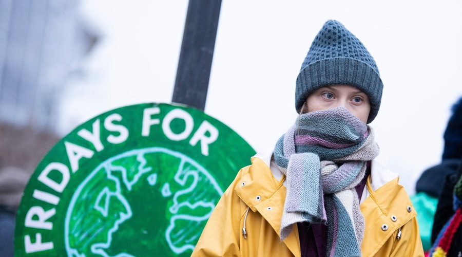 Greta Thunberg tudi na 17. rojstni dan pred švedskim parlamentom (foto: profimedia)