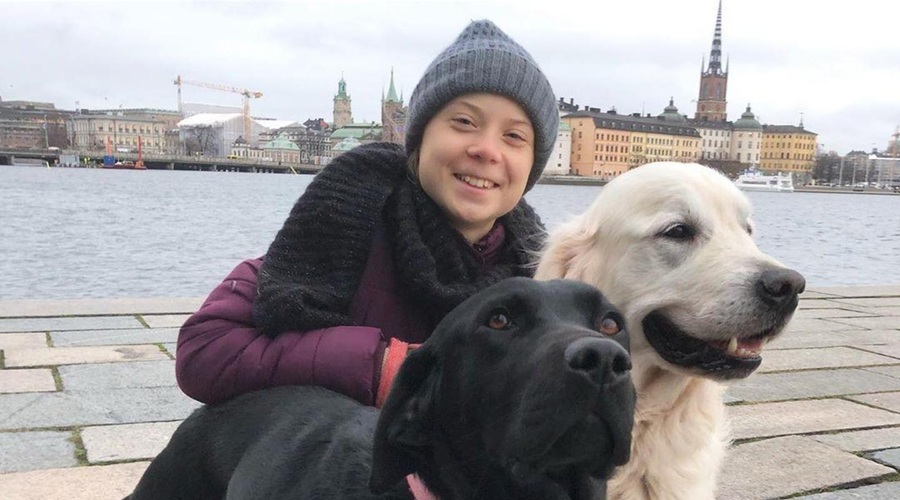 Greta Thunberg na Twitterju spremenila ime v Sharon (foto: profimedia)