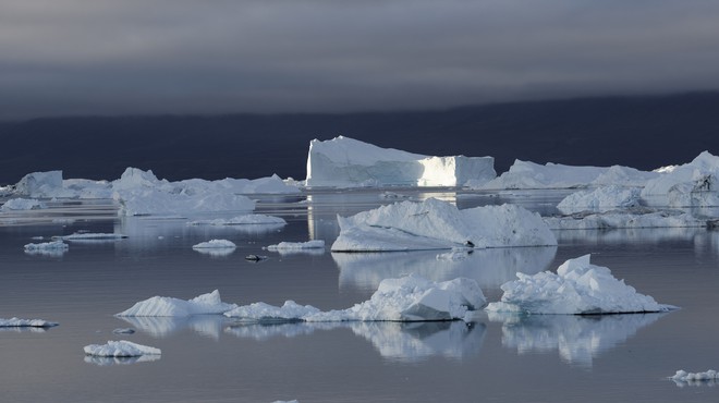 Na Grenlandiji se led tali hitreje od pričakovanj (foto: profimedia)