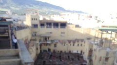 Fez