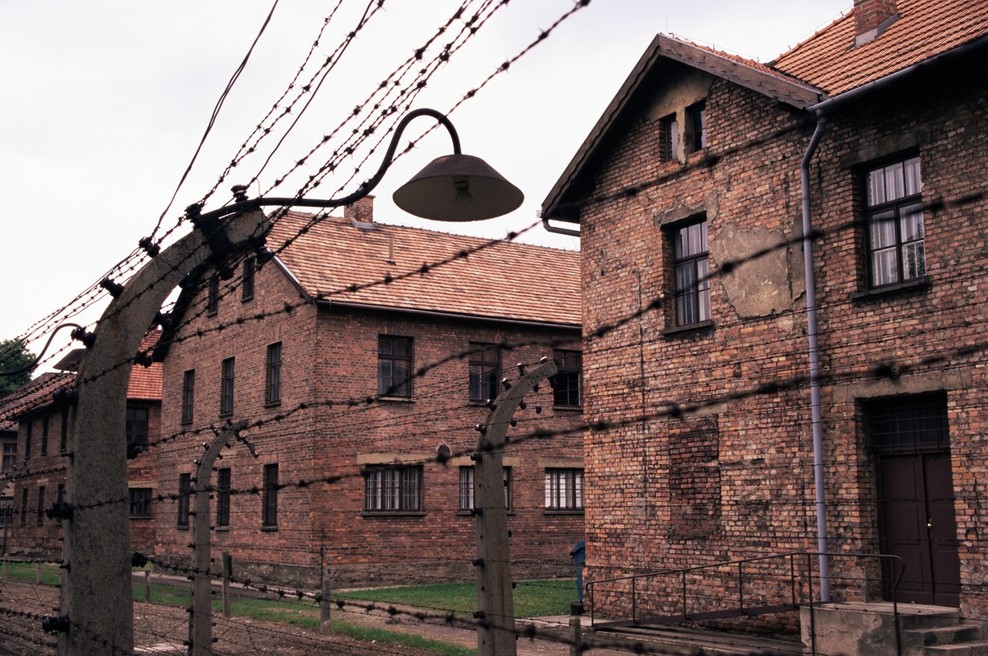 75. obletnica osvoboditve Auschwitza s slovestnostmi v Izraelu in na Poljskem (foto: profimedia)