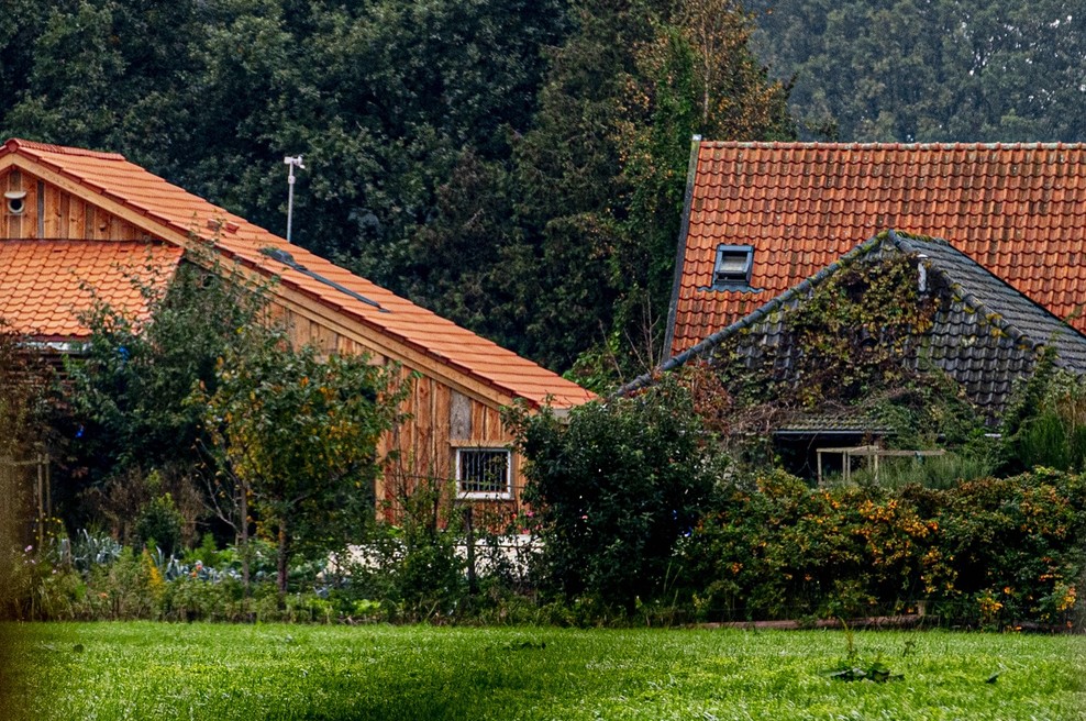 Nizozemec, ki je izoliral svoje otroke na kmetiji, pred sodiščem (foto: profimedia)