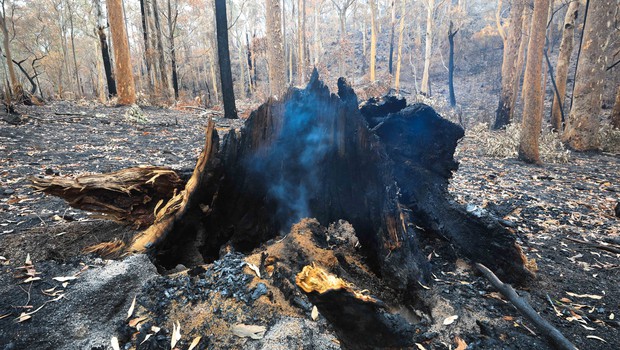 
                            Avstralija spet vsa v požarih, med gašenjem strmoglavilo letalo (foto: profimedia)