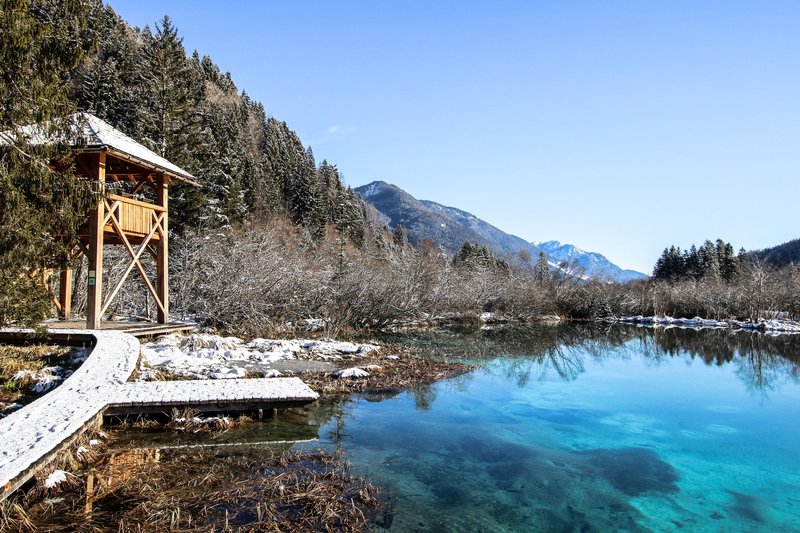 Zelenci, Kranjska Gora.