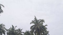 Jambiani