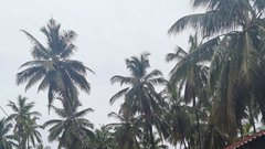 Jambiani