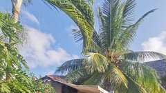 Nungwi
