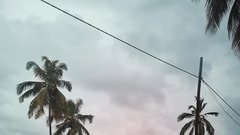 Zanzibar: rajske plaže, izginjajoče morje in valuta, ki vas bo naredila milijonarje