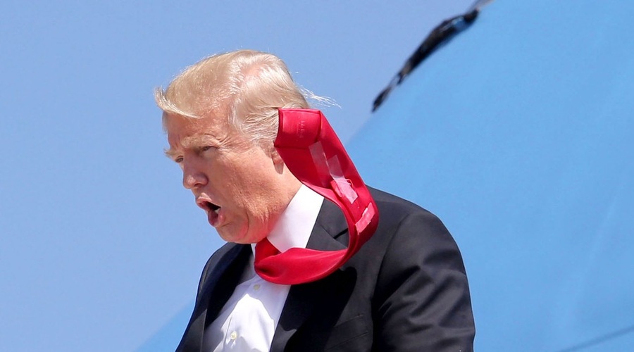 Veter odpihnil del Trumpovega zidu na meji z Mehiko (foto: profimedia)