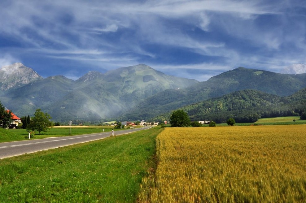 Ekologi brez meja opozorili na ukraden slogan Očistimo Slovenijo (foto: profimedia)