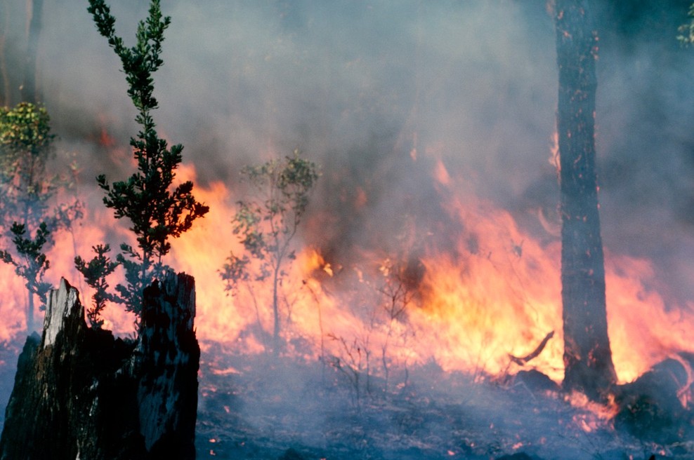 Nova svarila pred posledicami podnebnih sprememb (foto: profimedia)