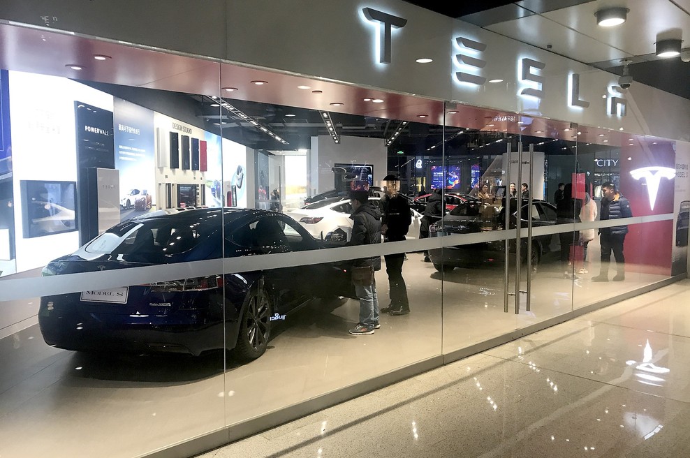 Tesla s pripravami za gradnjo tovarne, aktivista na drevesu nasprotujeta (foto: profimedia)