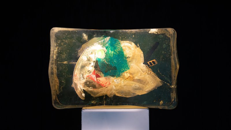 The Miha Artnak: Plastična kuga  (1950—2050 n. št.)