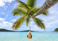 Raj, ki izginja: kaj se skriva za sanjskimi fotografijami Maldivov