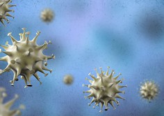 Harvardski profesor: Koronavirus bo dobilo kar 70 % svetovne populacije