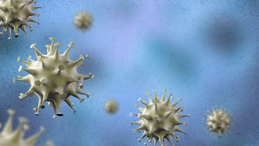 Harvardski profesor: Koronavirus bo dobilo kar 70 % svetovne populacije