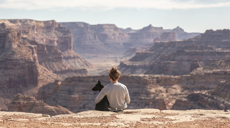 Do nadaljnjega tudi v medijski karanteni (piše: Petra Windschnurer) (foto: Unsplash)