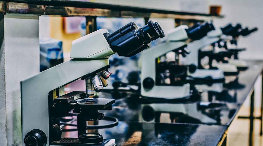 Slovenski COBIK začenja razvoj cepiva za koronavirus (foto: Photo by Ousa Chea on Unsplash)