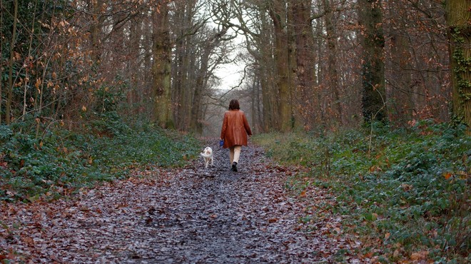 Aleš Hojs: "Na sprehod s psom da, s partnerjem, ki ne živi z nami, pa ne" (foto: profimedia)