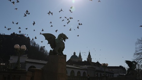 V Sloveniji od petka 42 dodatnih okužb, trgovci pozivajo k več strpnosti