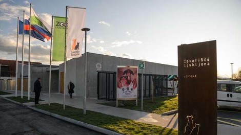 V ljubljanskem zavetišču bodo sprejemali živali obolelih za koronavirusom