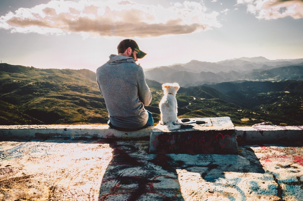 Všeč mi je ta "novi svet". Miren je. Nihče več ne nori. (foto: unsplash)