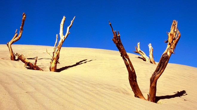 Zaradi puščavskega peska močno onesnažen zrak z delci PM 10 (foto: profimedia)