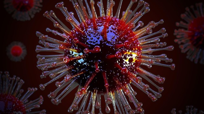 V Italiji bodo prebivalstvo testirali na prisotnost protiteles v krvi (foto: profimedia)