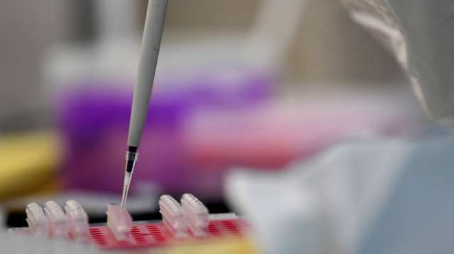 V Veliki Britaniji se pričenja testiranje cepiva proti covidu-19 na ljudeh (foto: Xinhua/STA)