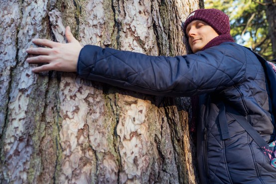 Islandski gozdarji priporočajo, da preženete osamljenost z objemanjem dreves