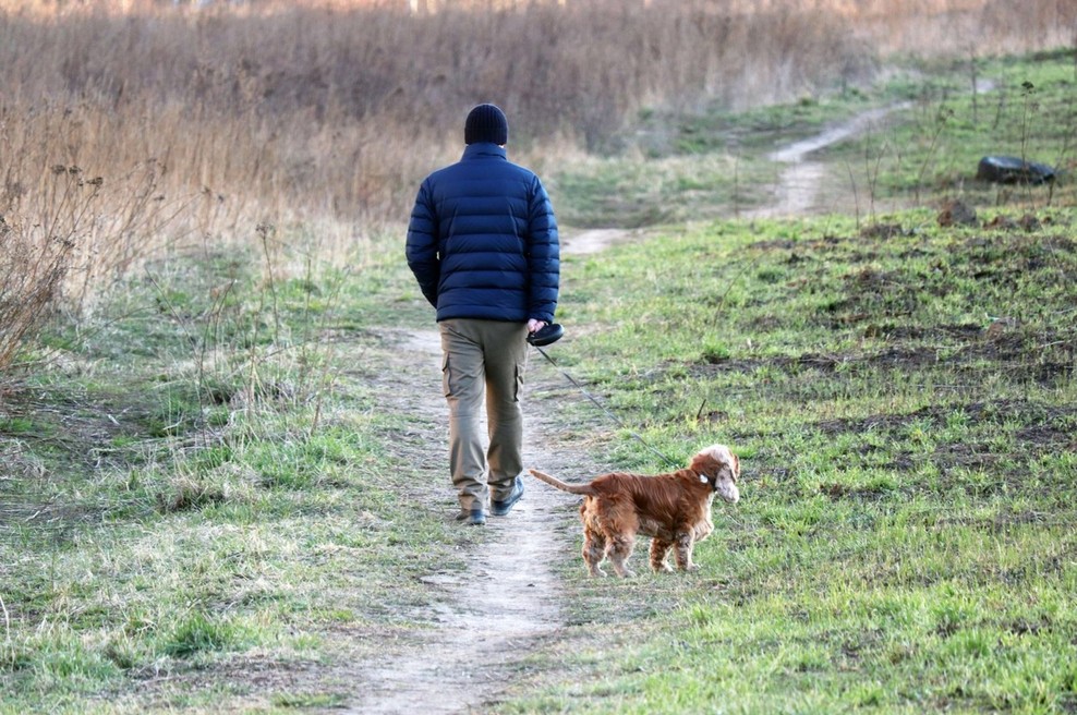 Pandemija koronavirusa se v Evropi umirja, tudi v Italiji in Španiji (foto: profimedia)