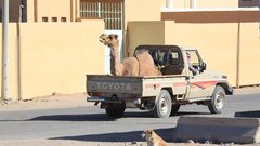 Savdska Arabija: nova čarobnost in srhljivost najbolj nore dirke