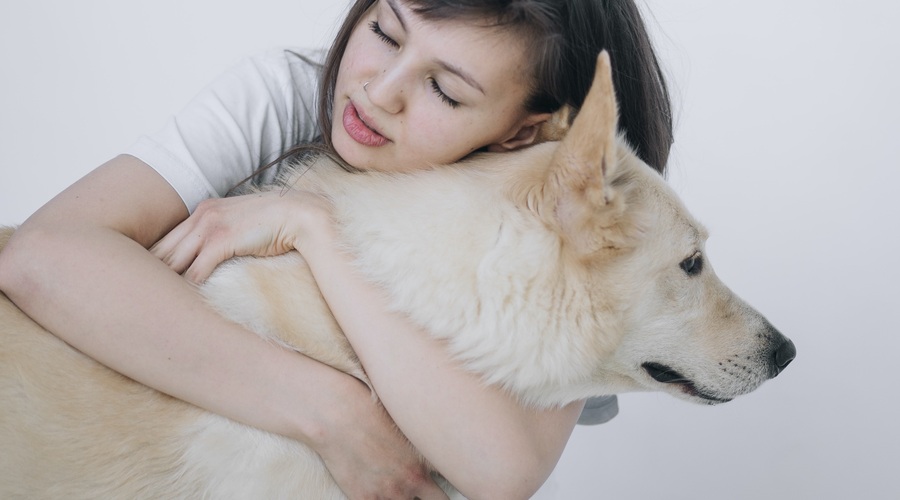 Maja Povše: "Družba živali je sproščujoča in tega se zaveda vedno več ljudi" (foto: Unsplash)