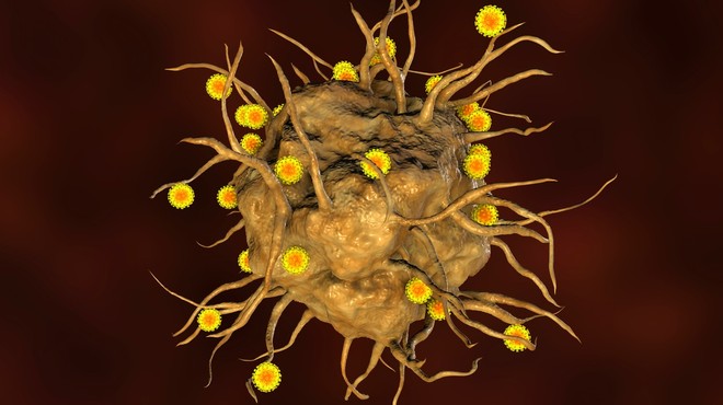 Novi koronavirus se je po svetu razširil že konec leta 2019, kaže študija (foto: profimedia)