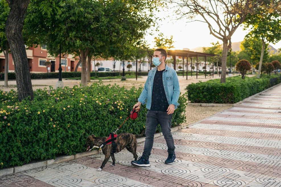 Varuh človekovih pravic ob epidemiji ni sedel križem rok (foto: profimedia)