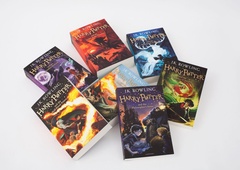 Knjige iz smetnjaka po 12 letih na podstrešju na dražbo