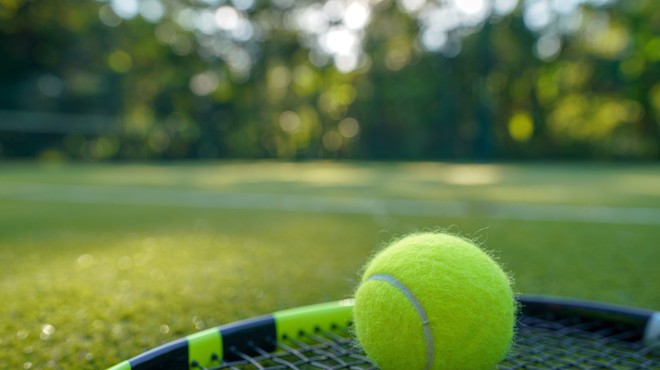 Tenis bo v Sloveniji kmalu zaživel (foto: profimedia)