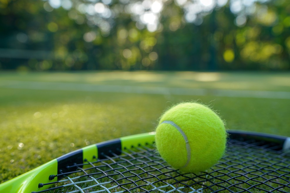 Tenis bo v Sloveniji kmalu zaživel (foto: profimedia)