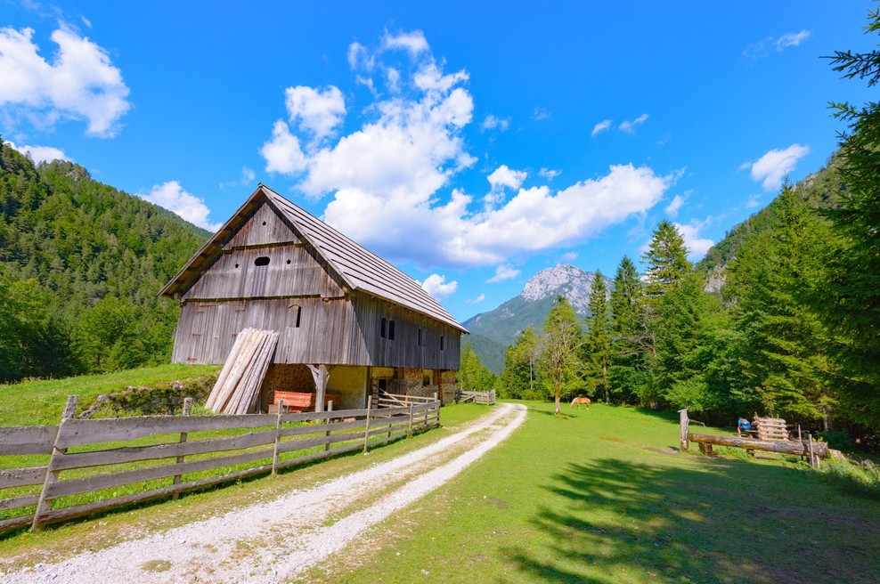 Planinska zveza Slovenije posodobila priporočila za vse dejavnosti v planinstvu (foto: Profimedia)