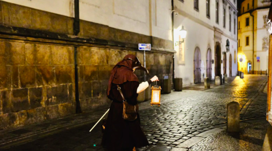 Prek Airbnb zdaj lahko meditirate z ovcami ali spoznate pse iz Černobila (foto: Airbnb)
