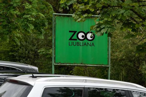 V ZOO Ljubljana ponovno odprta vivarij in otroški živalski vrt