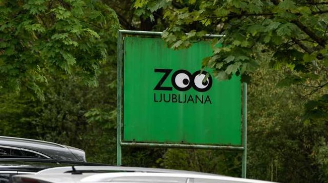 V ZOO Ljubljana ponovno odprta vivarij in otroški živalski vrt (foto: Nebojša Tejić/STA)